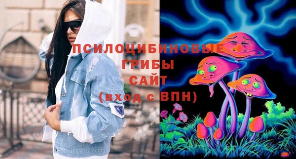 ECSTASY Медногорск