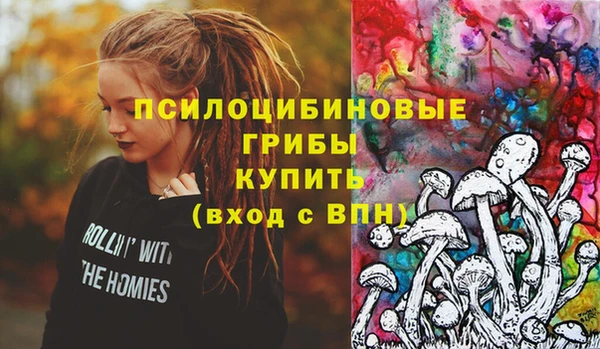 PSILOCYBIN Михайловка
