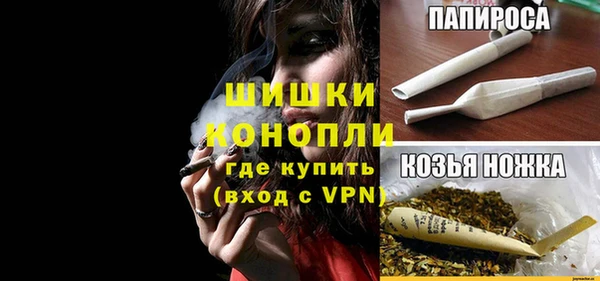 сатива Мегион