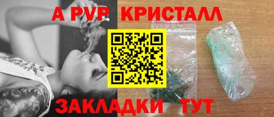 спиды Донской