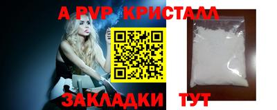 спиды Донской