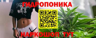 молекула духа Донецк