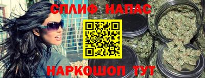 спиды Донской