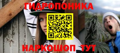 спиды Донской