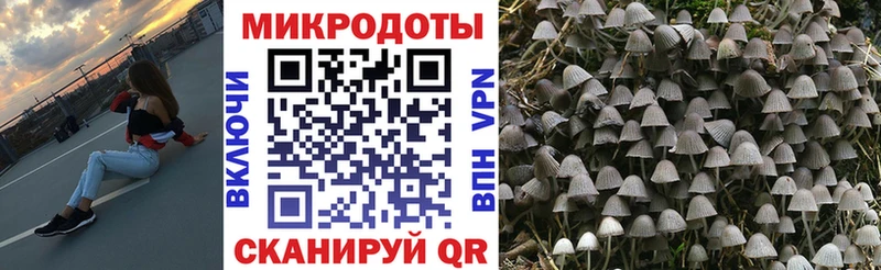 Псилоцибиновые грибы Psilocybe мега зеркало Тюмень