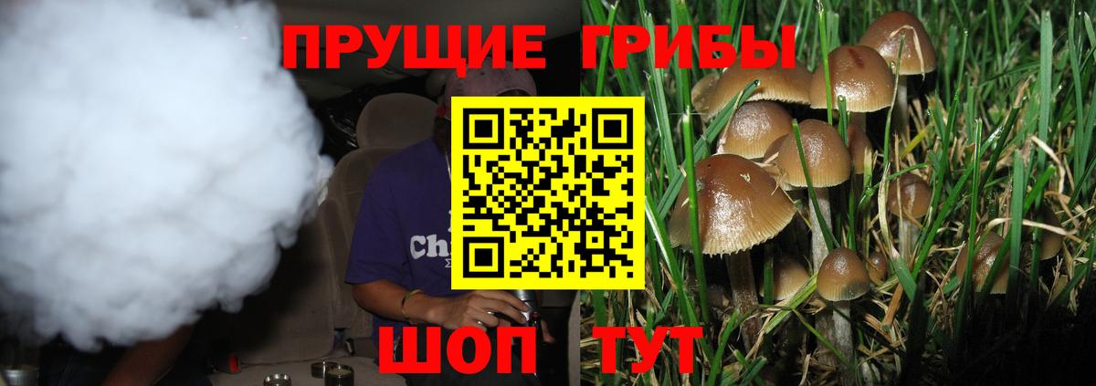Галлюциногенные грибы Magic Shrooms  Тюмень 