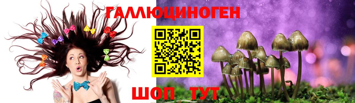 Псилоцибиновые грибы мухоморы Тюмень